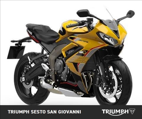 TRIUMPH Daytona 600 